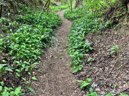 22-04-25 11-24-29 0619